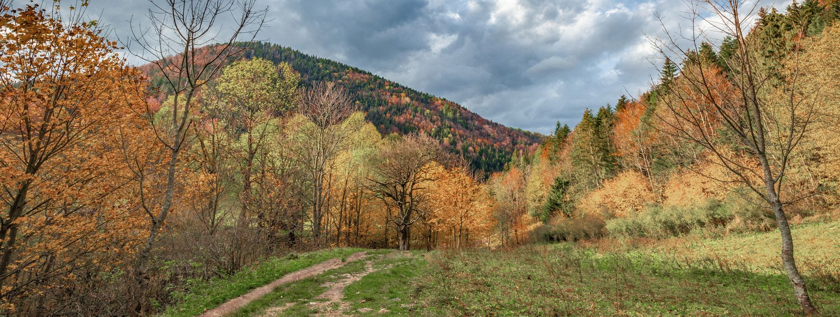 An image of the outdoors with the CAPTIVATE Lens Technology. It enhances your vision, vivid details.
