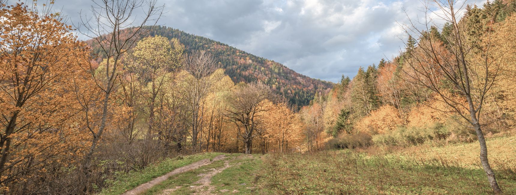 An image of the outdoors without the CAPTIVATE Lens Technology.