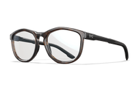 Gloss Tortoise