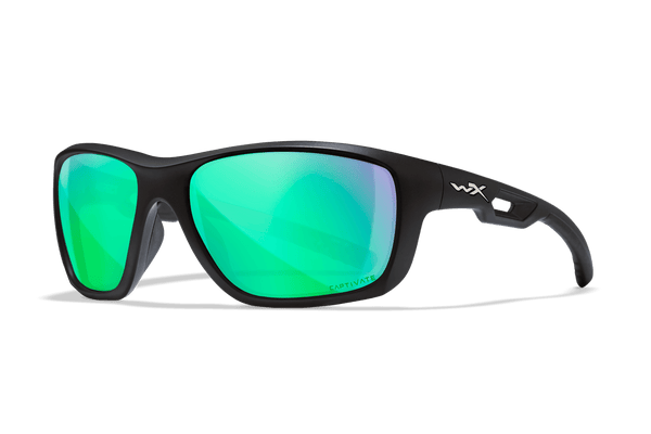 wx-Aspect-ACASP17-left_grande.