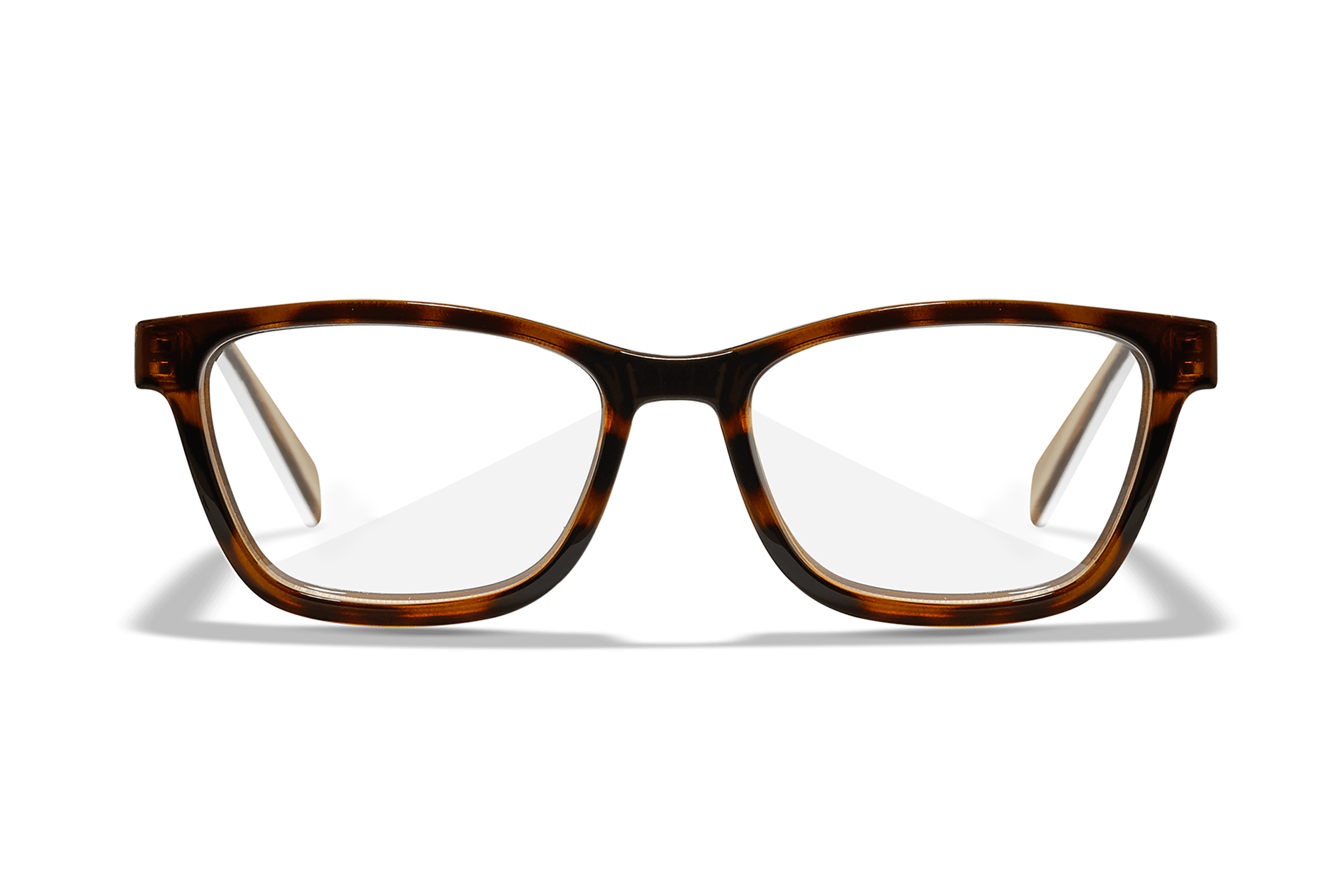 aile clind' oeil/嘆きの翼 新潟V系 WX Serenity Eyeglasses - Gloss Brown Demi Frame Champagne Temples