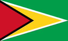 GUYANA Flag