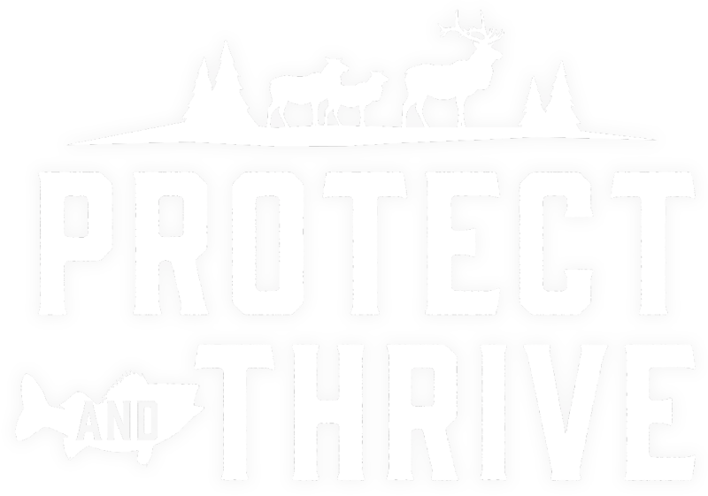 protect and thrive