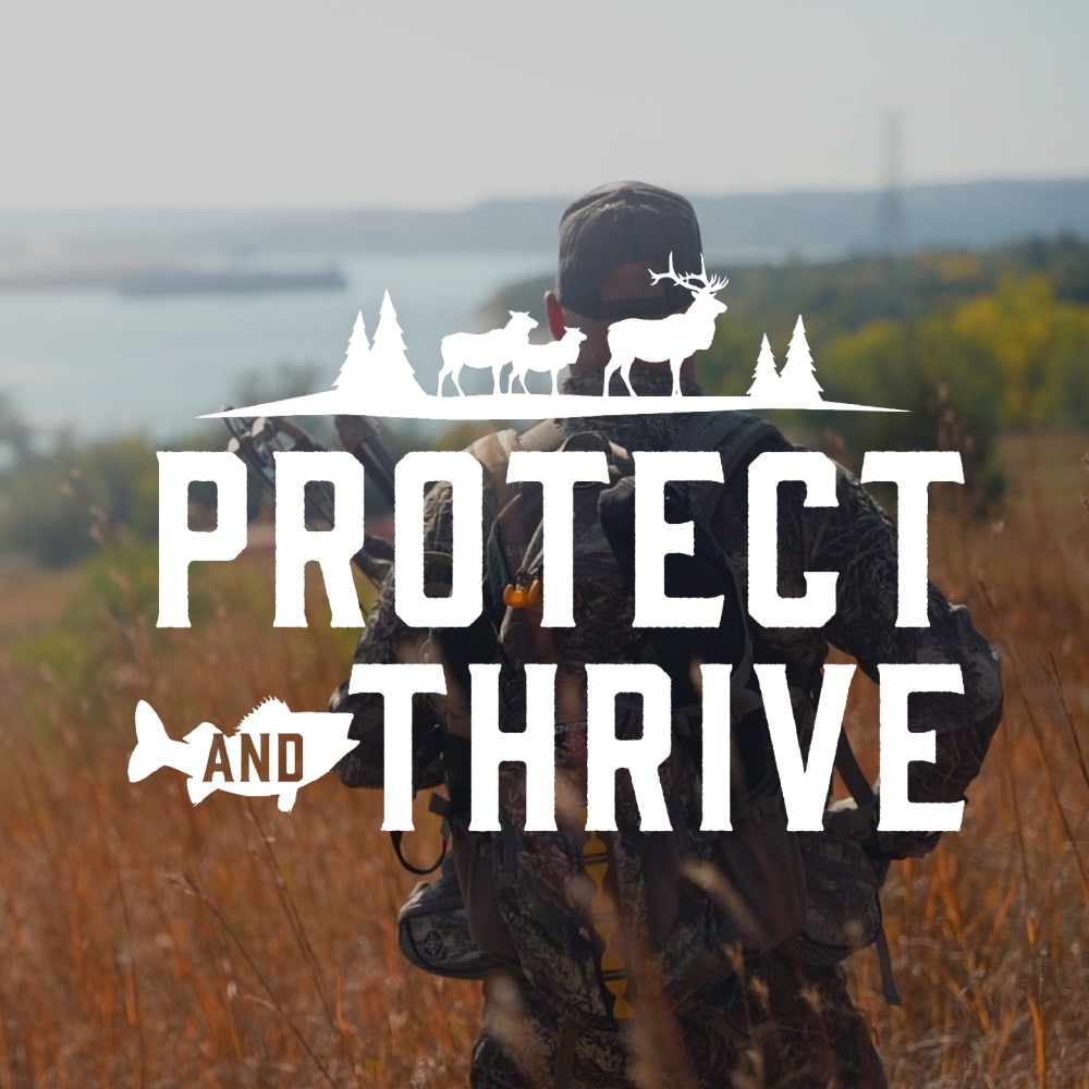 Protect and Thrive