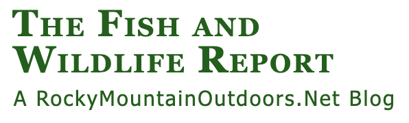 fishing and wildlife report